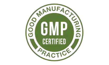 prodentim -GMP